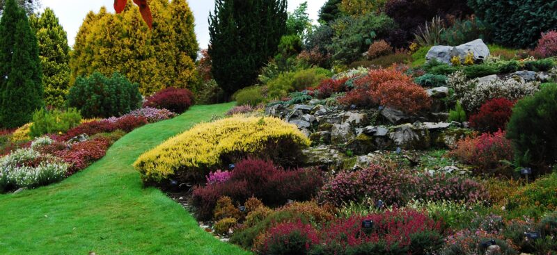 Heather Beds Crop